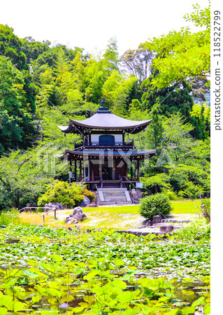 [Kyoto Scenery] Kanshu-ji Temple on a refreshing June day 118522799