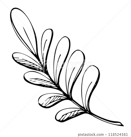 Floral lace embroidery exotic orchid rose traditional leaves branch, folk ethnic stylized. Hand drawn ink vector illustration. Single element isolated on white. Design travel, vacation, shop brochure 118524381