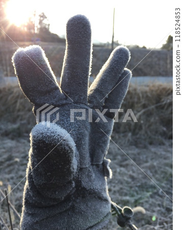 Frost-covered gloves on a winter morning 118524853