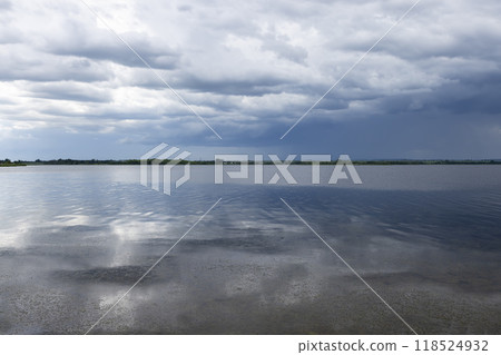 lake and trees on the shore before a storm 118524932