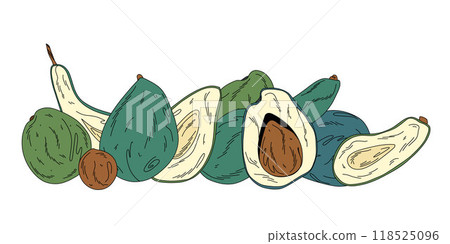 Linear composition with ripe doodle avocados, whole fruits, halves and pits isolated on white Linear composition with ripe doodle avocados, whole fruits, halves and pits isolated on white 118525096