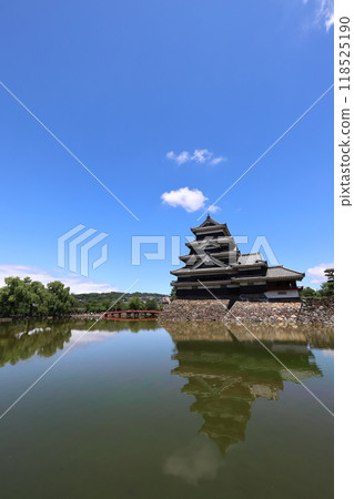 Nagano Matsumoto National Treasure Matsumoto Castle 118525190