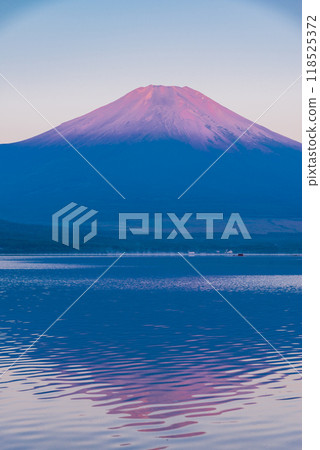 [Yamanashi Prefecture] Red Fuji dyed in the morning glow as seen from Lake Yamanaka 118525372