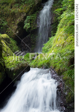 Mountain stream Mountain stream 118525842