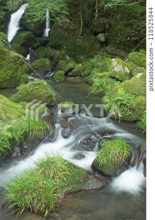 山間溪流 山間溪流 118525844