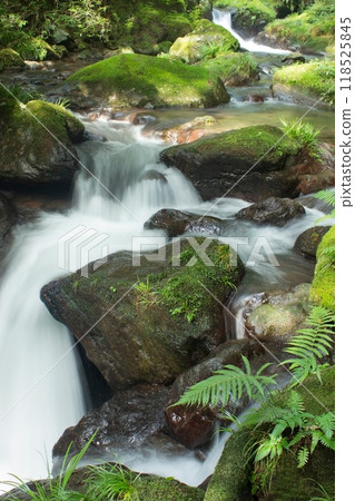 Mountain stream Mountain stream 118525845