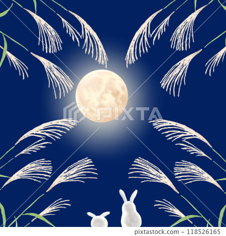 Rabbit at night 118526165