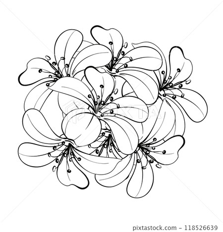 Pattern of bloom bouquet lily Romantic springtime flower in vintage style. Graphic vector line, hand drawn, black silhouette for cricut. For design, logo, postcards, wedding, textile, greeting cards Pattern of bloom bouquet lily Romantic springtime flower in vintage style. Graphic vector line, hand drawn, black silhouette for cricut. For design, logo, postcards, wedding, textile, greeting cards 118526639