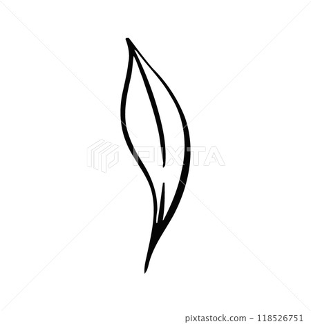 Leaf, elegant botanic, vintage style. Isolated. For wedding, greeting cards, fabric, printing. Graphic vector line, hand drawn, black silhouette for cricut 118526751