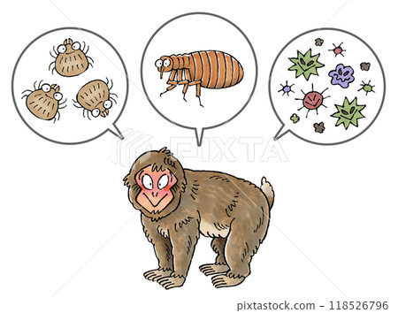 Japanese macaques and parasites (mites, fleas, and pathogens) Japanese macaques and parasites (mites, fleas, and pathogens) 118526796