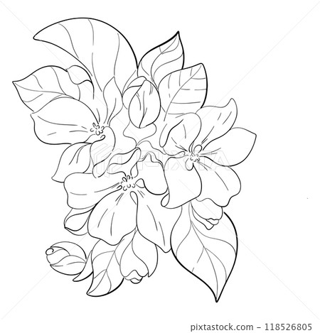 Vector japanese cherry blooming, sakura art. Apple tree bouquet. Black silhouette for circuit 118526805