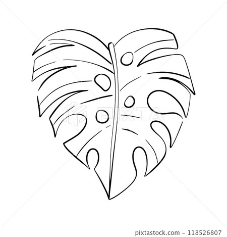 Vector tropical monstera leaf, summer botanical art. Decorative beauty elegant illustration for design, compositions. Black silhouette for circuit 118526807