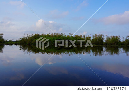The lake surface reflecting the blue sky 118528174