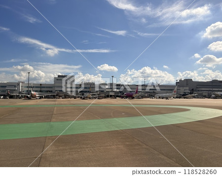 View of Nagoya Airport from an airplane 118528260