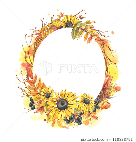 Autumn berries physalis, chokeberry, rowan leaves, maple, birch, rudbeckia flowers, tree branches and ladybugs. Watercolor illustrations. Round frame wreath isolated from background 118528791
