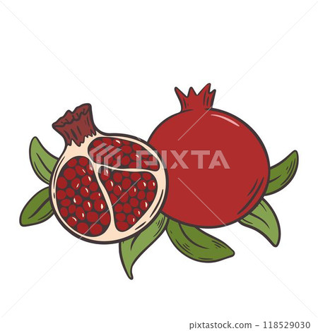 Ripe pomegranate fruits whole and half 118529030