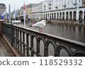 A seagull sits on the railing near the river. Center of Hamburg in the background 118529332