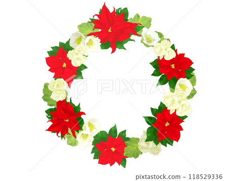 Poinsettia lease 118529336