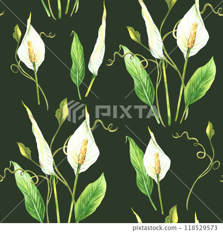 Tropic plant watercolor summer seamless pattern. Green leaves, white buds and flowers. Climbing creeper plant exotic foliage. Hand drawn illustration for fabric, wallpaper on isolated dark background Tropic plant watercolor summer seamless pattern. Green leaves, white buds and flowers. Climbing creeper plant exotic foliage. Hand drawn illustration for fabric, wallpaper on isolated dark background 118529573