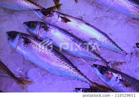 Mackerel Mackerel 118529651