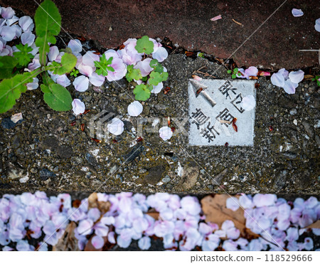 Scenery of road markers embedded in the ground 118529666
