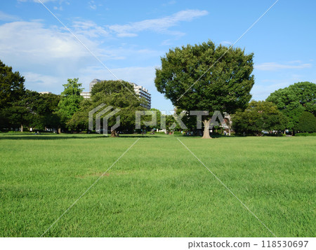 A green space for socializing | Kiba Park 118530697