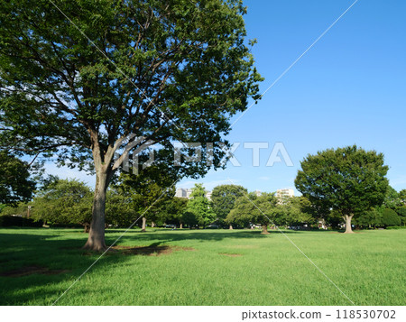 鬱鬱蔥蔥的綠色互動廣場｜木場公園 118530702