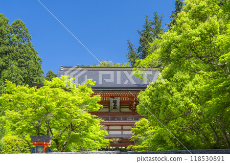 Kyoto, with its fresh greenery: Kurama Temple, Niomon Gate Kyoto, with its fresh greenery: Kurama Temple, Niomon Gate 118530891