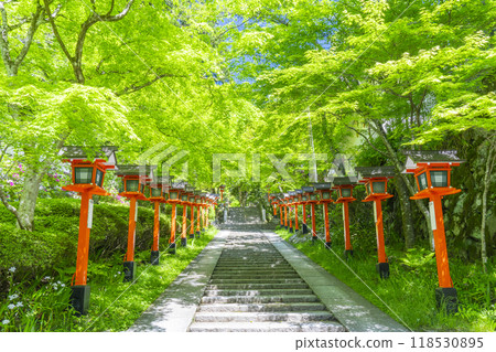 Fresh greenery in Kyoto - Kurama Temple - Stone steps and lanterns on the winding approach to the temple Fresh greenery in Kyoto - Kurama Temple - Stone steps and lanterns on the winding approach to the temple 118530895