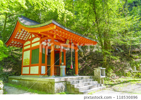 Fresh greenery in Kyoto: Tsujuku-bend approach to Yoshikura Inari Shrine 118530896