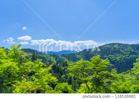 Natural scenery seen from Kurama Temple in fresh green 118530902