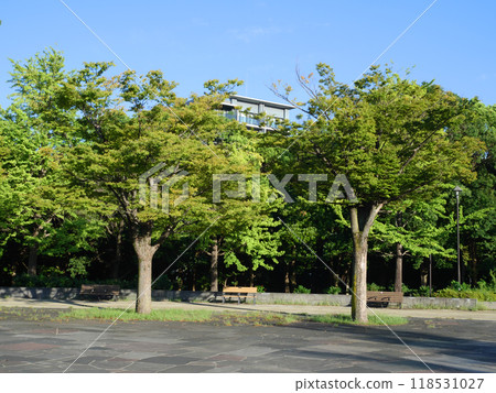 有公園的風景｜木場公園 118531027