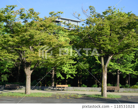 有公園的風景｜木場公園 118531028