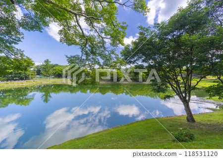 Nara Park Great Buddha Pond Nara Park Great Buddha Pond 118531120