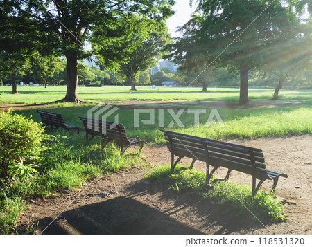 Park bench | Kiba Park 118531320