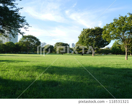 A green space for socializing | Kiba Park A green space for socializing | Kiba Park 118531321