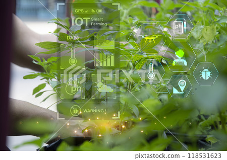 The concept of using AI and smart farming. 118531623