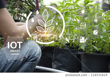 The concept of using AI and smart farming. The concept of using AI and smart farming. 118531624