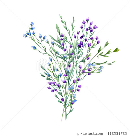 Meadow blooming blue, purple flowers and wild green spikelet bouquet watercolor illustration. Spring, summer outdoors herbs, plants for wedding, birthday greetings, package, stationery 118531783