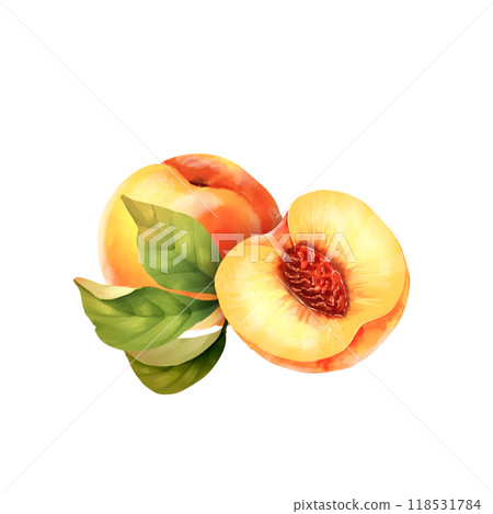 Hand drawn illustration of peaches and green leaves. Isolated on white 118531784