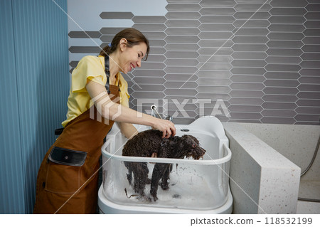 Closeup view on cute fluffy dog getting hygiene shower at pet salon Closeup view on cute fluffy dog getting hygiene shower at pet salon 118532199