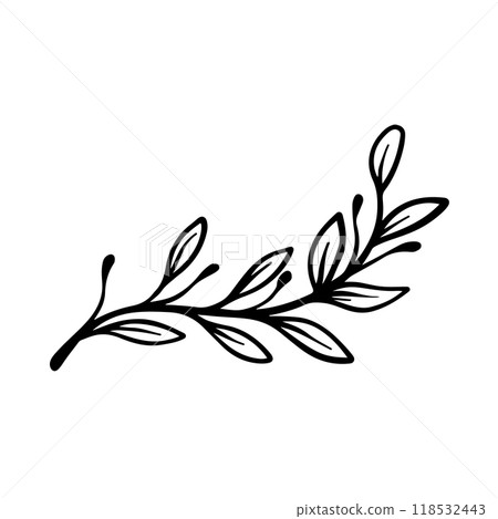 Illustration of flourish bush branch in monochrome style. Design element for logo, label, sign, poster, card. Vector illustration 118532443