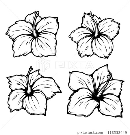 Set of illustrations of hibiscus flower. Design elements for logo, label, sign, t shirt. Vector illustration 118532449