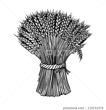 Illustration of sheaf of wheat in engraving style. Design element for emblem, sign, poster, package design. Vector illustration Illustration of sheaf of wheat in engraving style. Design element for emblem, sign, poster, package design. Vector illustration 118532474