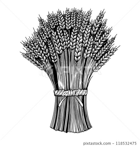 Illustration of sheaf of wheat in engraving style. Design element for emblem, sign, poster, package design. Vector illustration 118532475