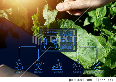 The concept of using AI and smart farming. 118532534