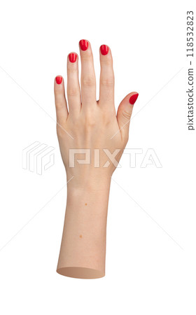 Manicure with red nail polish on woman s hand, isolated on white background. Beautiful long 118532823