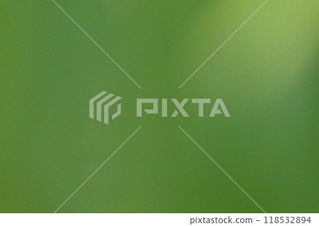 Light hitting green leaves, green gradation, matcha green walls in a Japanese-style room 118532894