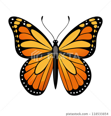 A butterfly with black and orange wings 118533854