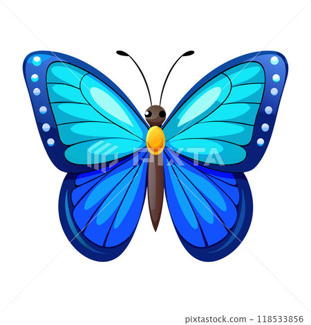 A blue butterfly with a yellow spot on its head 118533856
